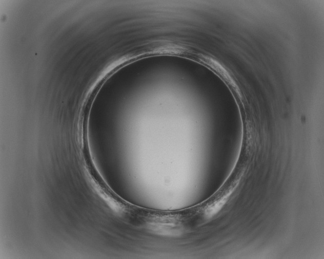 X0000087640843200705031508