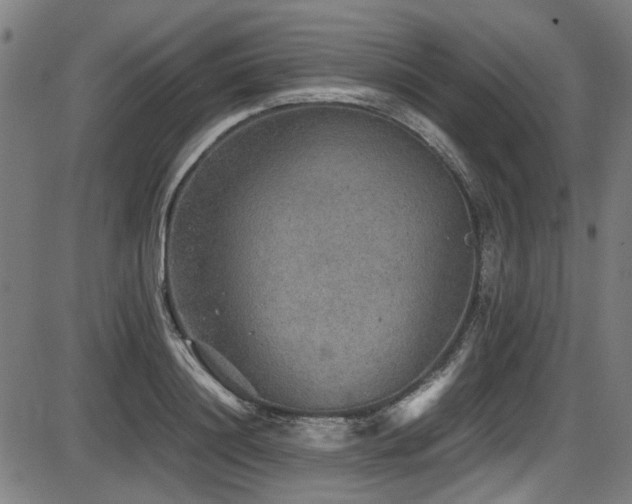 X0000087640844200705031508