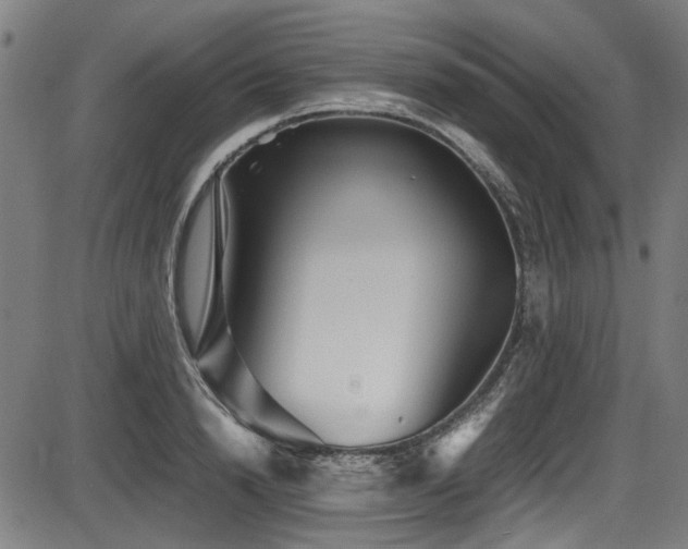 X0000087640846200705031508