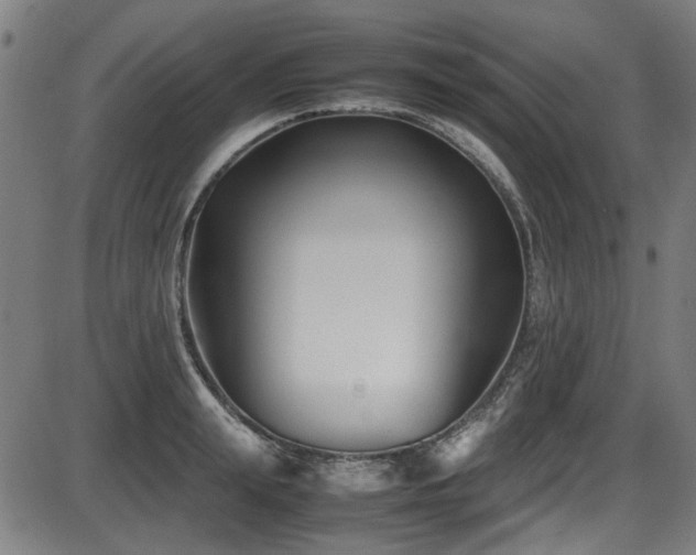 X0000087640847200705031508