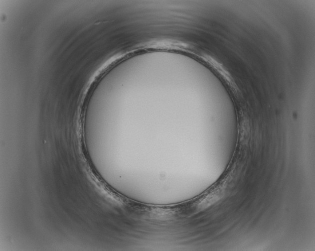 X0000087640848200705031508