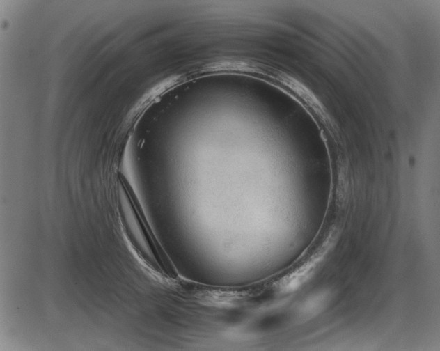 X0000087640849200705031508