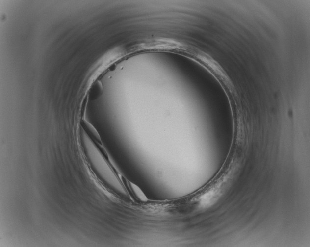 X0000087640850200705031508