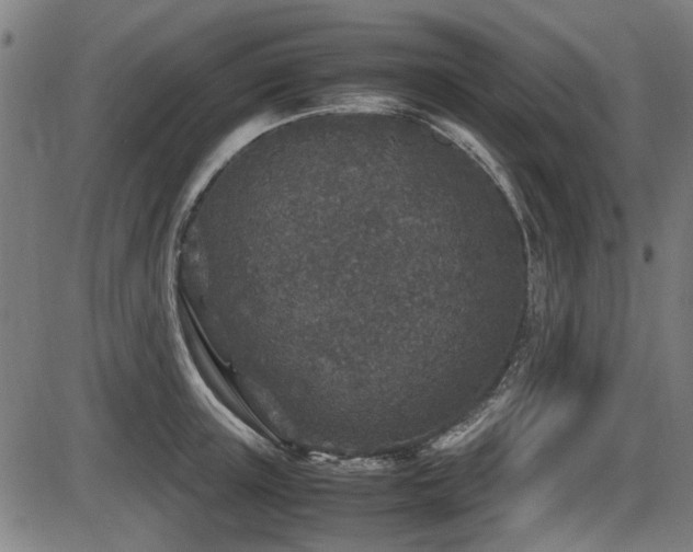 X0000087640851200705031508