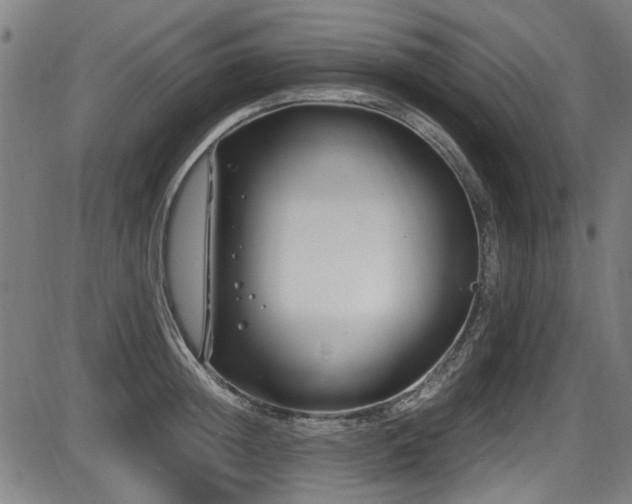 X0000087640852200705031508