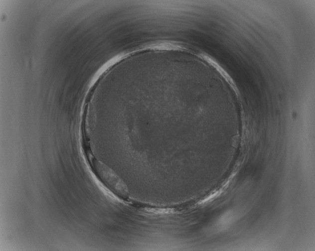 X0000087640853200705031508