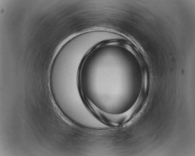 X0000087640854200705031508