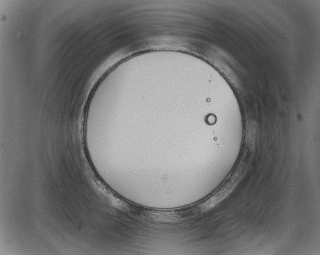 X0000087640856200705031508