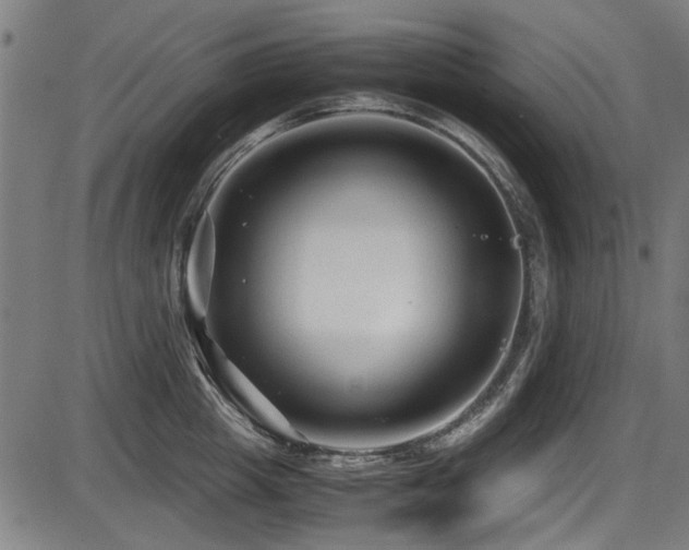 X0000087640857200705031508