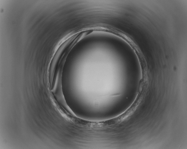 X0000087640858200705031508