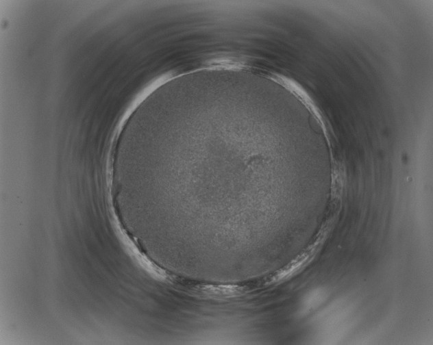 X0000087640859200705031509