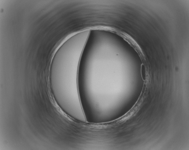 X0000087640860200705031509