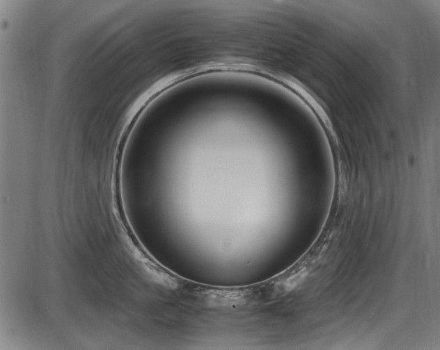 X0000087640861200705031509