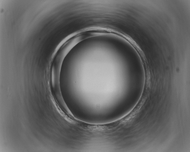 X0000087640862200705031509