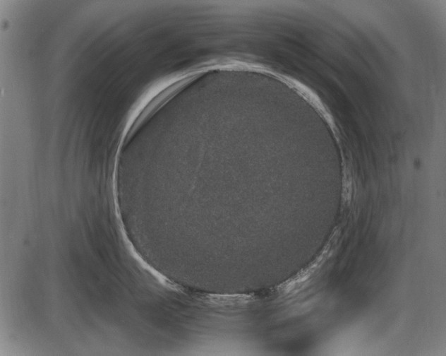 X0000087640863200705031509