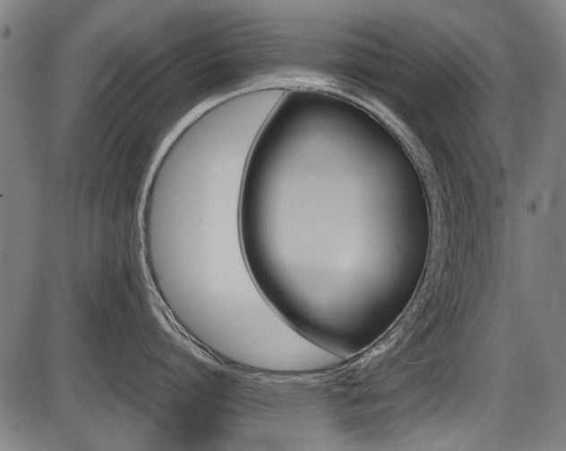 X0000087640864200705031509