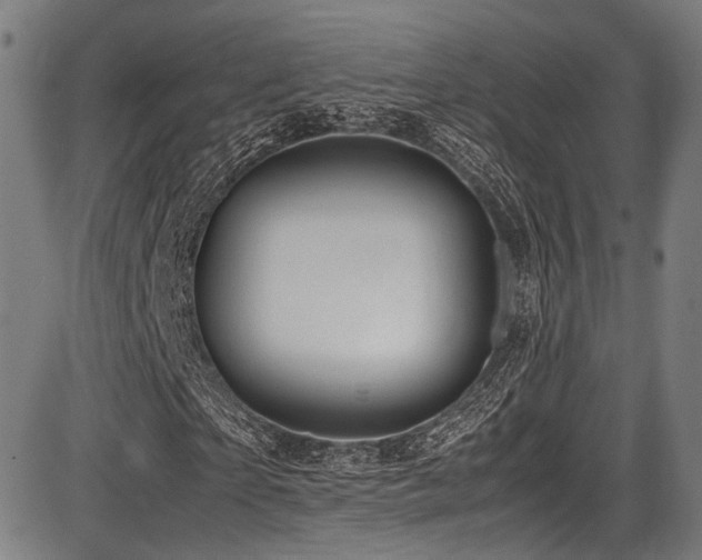 X0000087640865200705031508