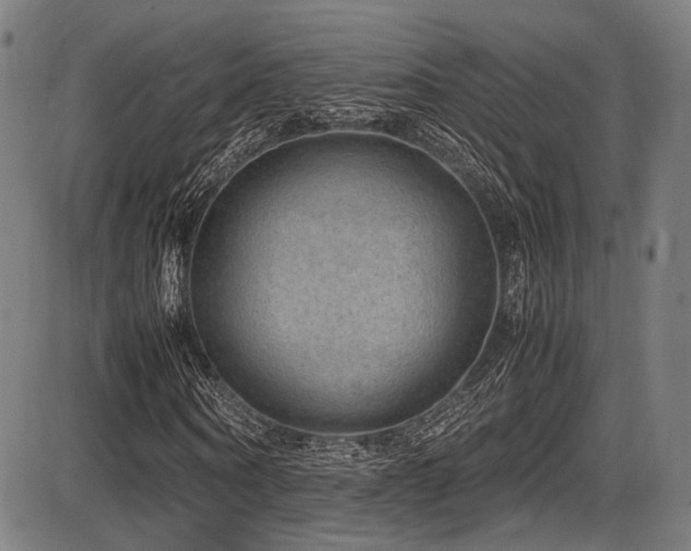 X0000087640866200705031508