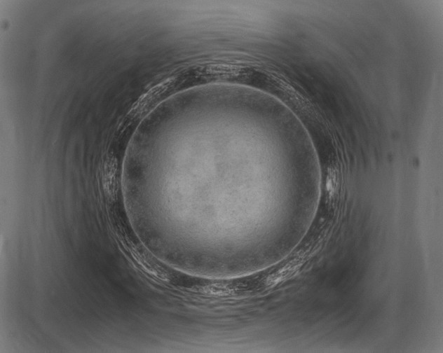 X0000087640867200705031508