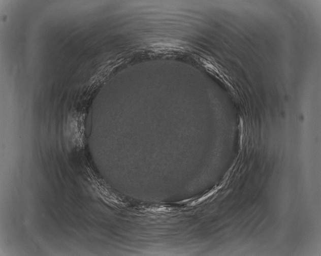 X0000087640868200705031508