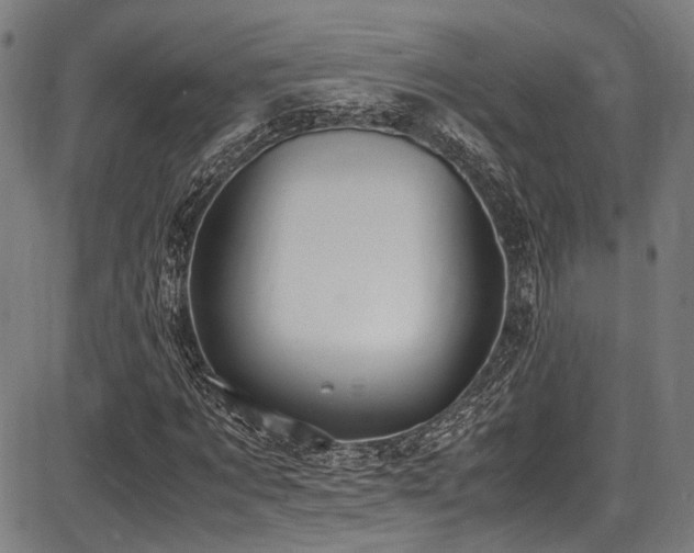 X0000087640869200705031508