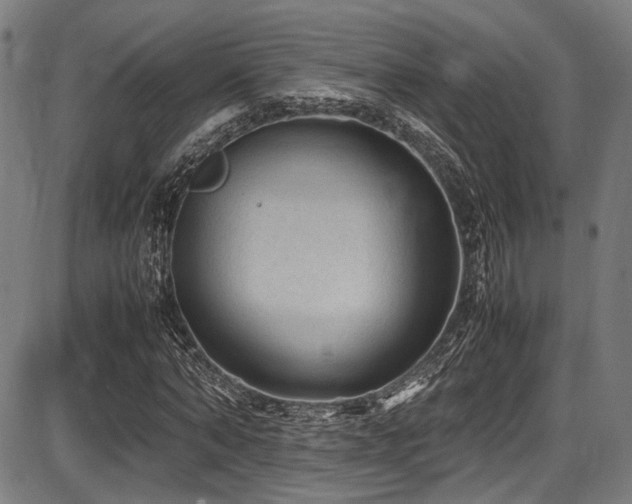 X0000087640870200705031508