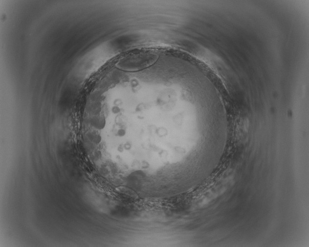 X0000087640871200705031508