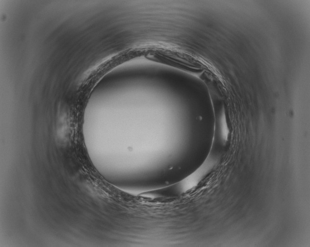 X0000087640872200705031508