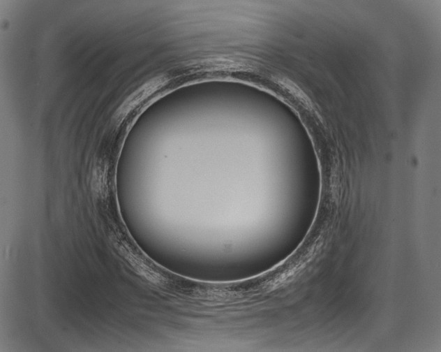 X0000087640873200705031508