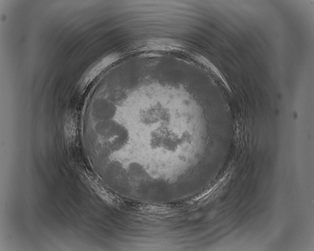 X0000087640874200705031508