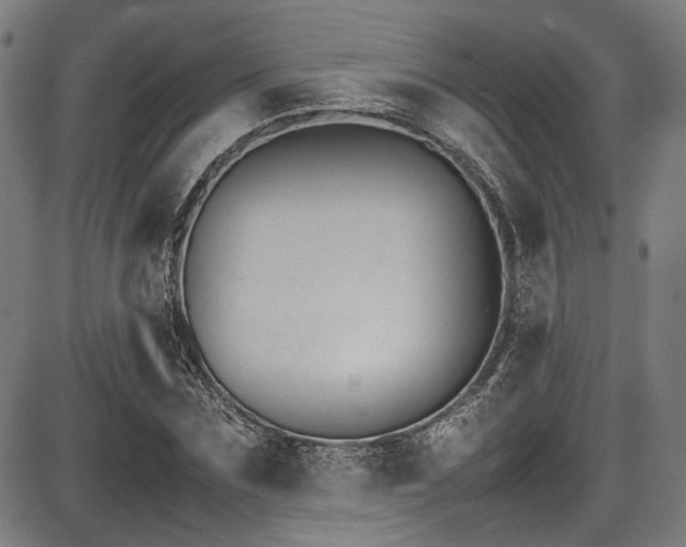 X0000087640875200705031508