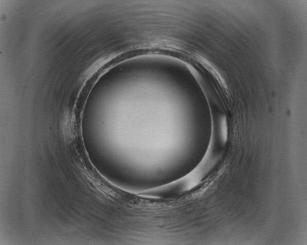 X0000087640876200705031508