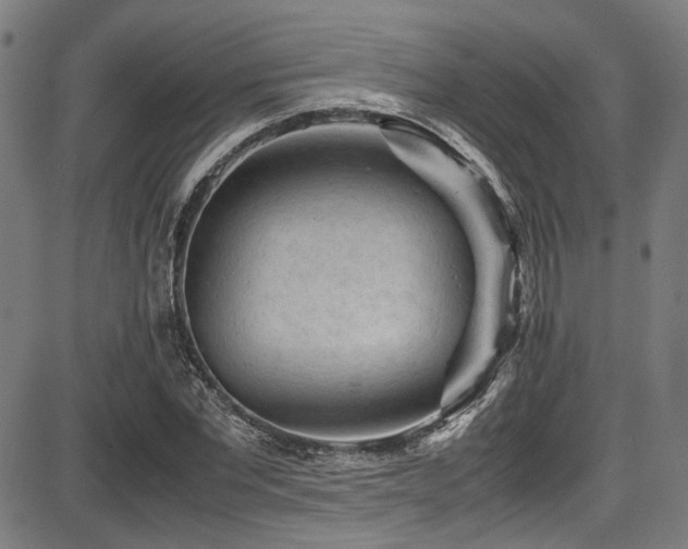 X0000087640877200705031508