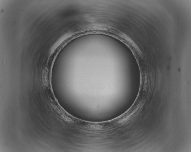 X0000087640878200705031508