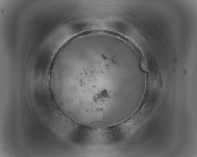 X0000087640879200705031508