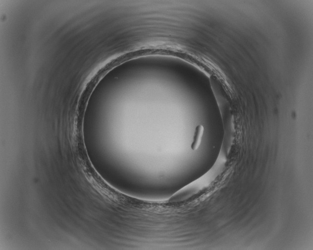 X0000087640880200705031508