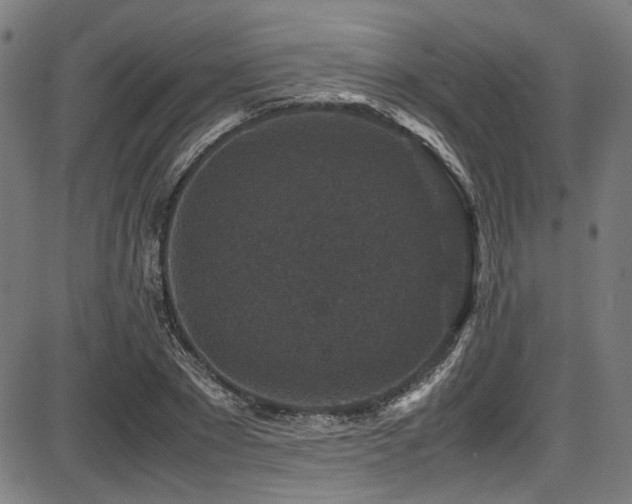 X0000087640881200705031508