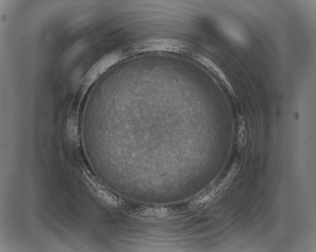 X0000087640882200705031508