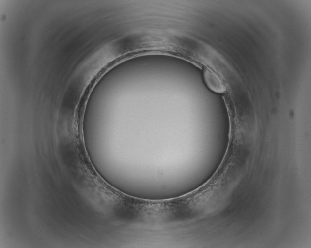 X0000087640883200705031508