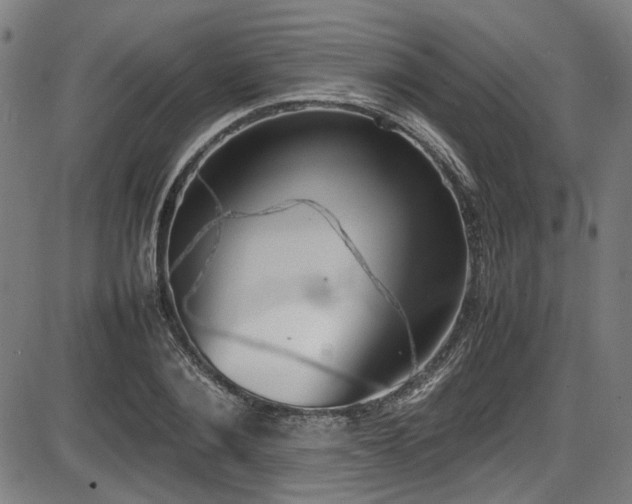 X0000087640884200705031508