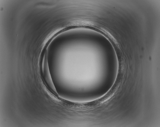 X0000087640885200705031507