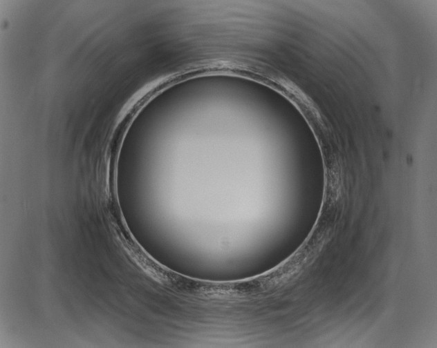 X0000087640886200705031507