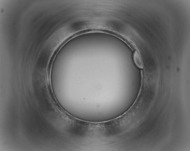 X0000087640887200705031507