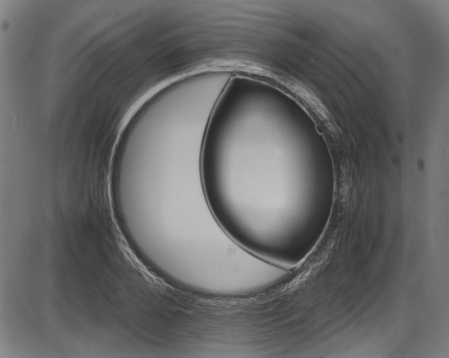 X0000087640888200705031507