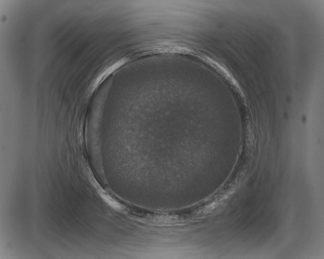 X0000087640889200705031507