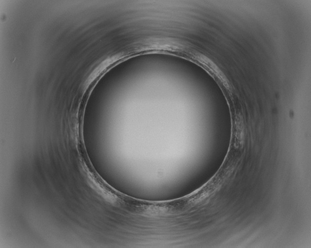 X0000087640890200705031507