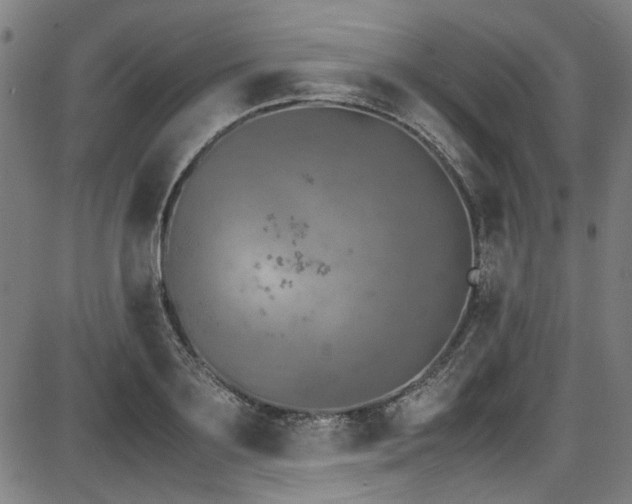 X0000087640891200705031507