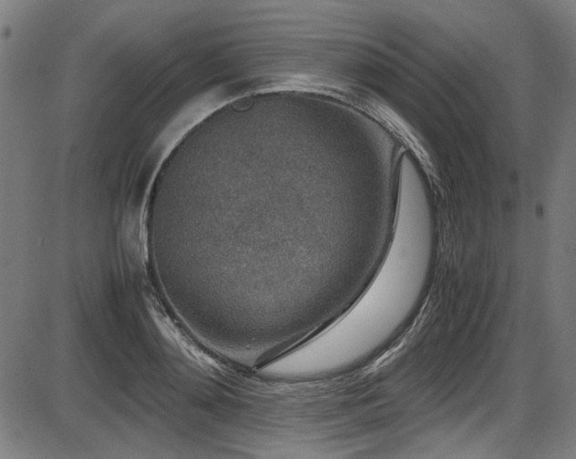 X0000087640892200705031507