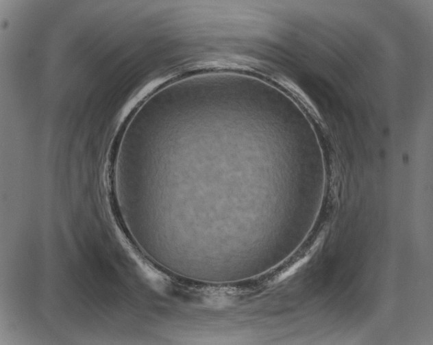 X0000087640893200705031507