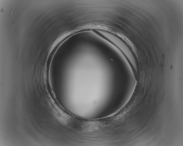 X0000087640894200705031507